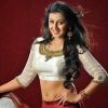 cropped-nikki-galrani_52.jpg