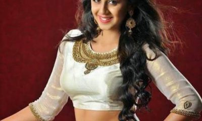 cropped-nikki-galrani_52.jpg