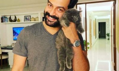 cropped-prithviraj-1.jpg