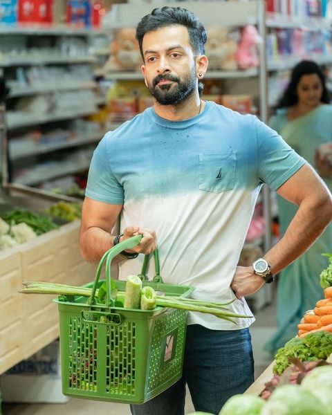 prithviraj 110