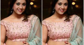 നടി മീനയ്ക്ക് രണ്ടാം വിവാഹം? പുതിയ റിപ്പോര്‍ട്ട്
