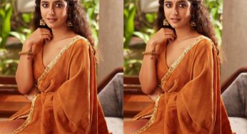 ട്രോളുകള്‍ കാണുമ്പോള്‍ വിഷമം ഉണ്ടായിരുന്നു: പ്രിയ വാര്യര്‍