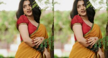 സാരിയില്‍ മനോഹരിയായി നന്ദന വര്‍മ്മ