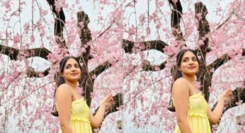 ചെറിപൂക്കള്‍ പോല്‍ മനോഹരിയായി ഇഷാനി കൃഷ്ണ